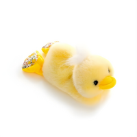 Blossom Buddies Chicken