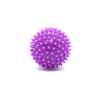 Massage Ball; Purple