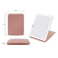 Light Up Mirror Rose Gold