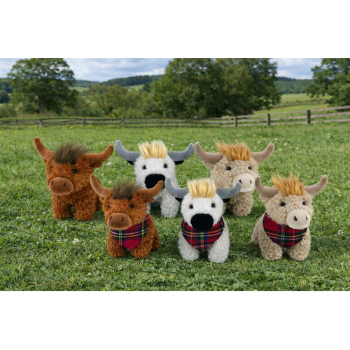 Angus the Highland Cow Set of 6