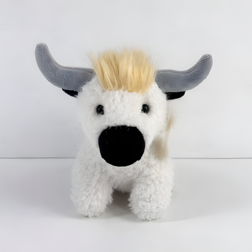 Angus the Highland Cow White